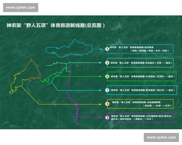 体育产业服务驱动下的融合创新发展路径与生态体系构建研究